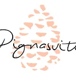 Pignasuite