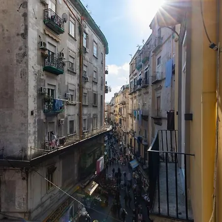 Alojamento de Acomodação e Pequeno-almoço Pignasuite